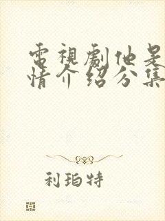 电视剧他是谁剧情介绍分集介绍