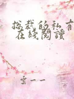 总裁的私有宝贝 在线阅读