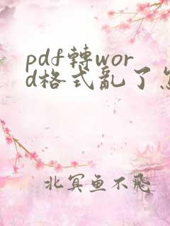 pdf转word格式乱了怎么调整