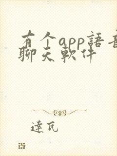 有个app语音聊天软件