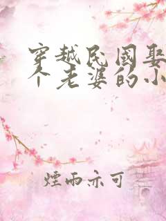 穿越民国娶了7个老婆的小说