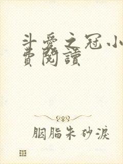 斗爱之冠小说免费阅读