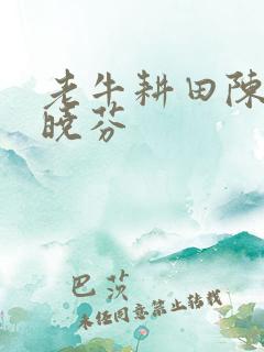 老牛耕田陈雪杨晓芬