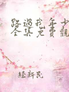 路过我年少时光全集免费观看