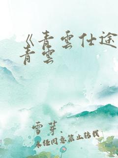 《青云仕途》李青云