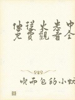 他从火光中走来免费观看全集完整版