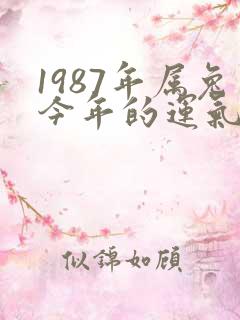 1987年属兔今年的运气怎么样
