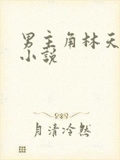 男主角林天辰的小说