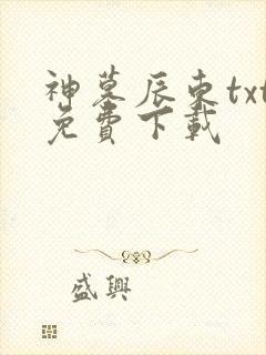 神墓辰东txt免费下载