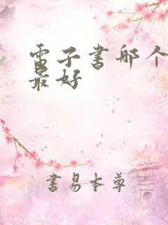 电子书哪个品牌最好