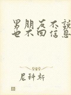 男朋友不说分手也不回信息是什么意思