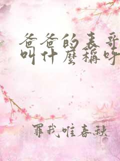 爸爸的表哥老婆叫什么称呼