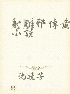 射雕邪传黄蓉的小说