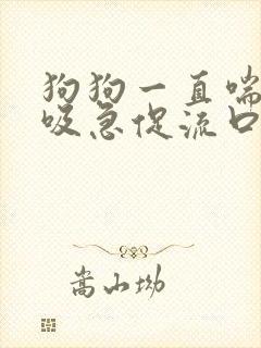 狗狗一直喘气呼吸急促流口水