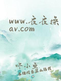 www.夜夜操av.com