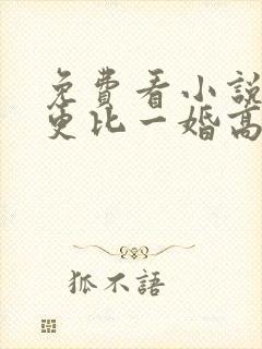 免费看小说一婚更比一婚高