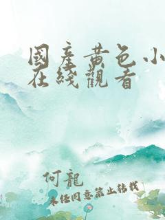 国产黄色小网站在线观看