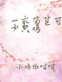 一亩菊苣可养多少只鸡
