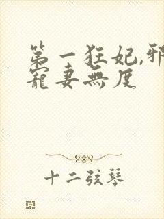 第一狂妃,邪王宠妻无度