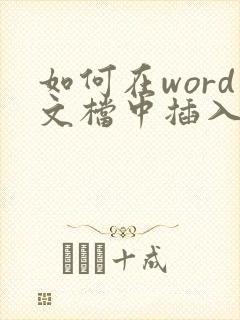 如何在word文档中插入pdf文件
