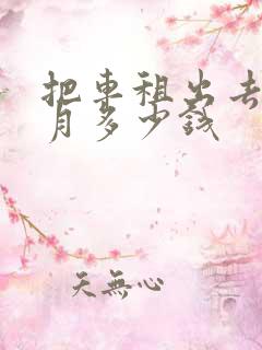 把车租出去一个月多少钱