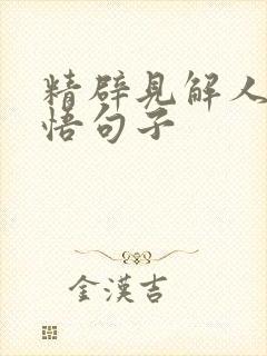 精辟见解人生感悟句子
