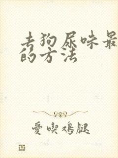 去狗尿味最有效的方法