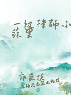 一级律师小说木苏里