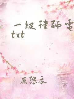 一级律师电子书txt
