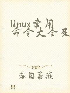 linux常用命令大全及其使用详解