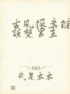 古风探案推理小说双男主
