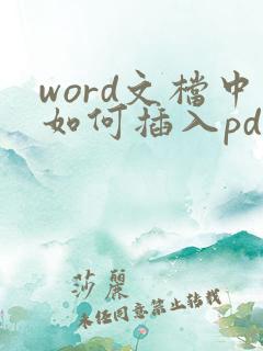 word文档中如何插入pdf文件