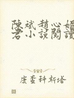 陈斌赵心媚高婉君小说阅读