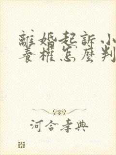 离婚起诉小孩抚养权怎么判