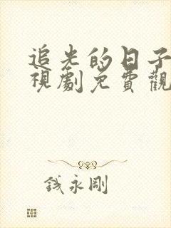 追光的日子的电视剧免费观看全集