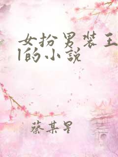 女扮男装王爷gl的小说