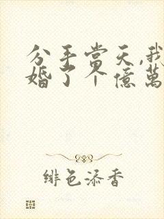 分手当天,我闪婚了个亿万富翁完本