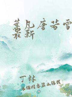 叶凡唐若雪医婿最新