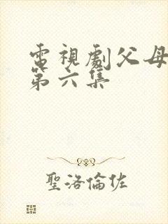 电视剧父母爱情第六集