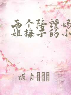 两个陪读妈妈赵姐梅子的小说