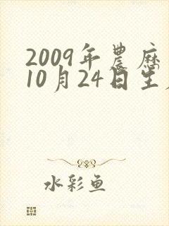 2009年农历10月24日生辰八字