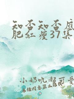 知否知否应是绿肥红瘦37集