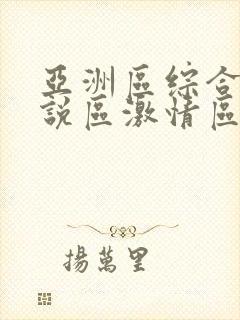 亚洲区综合区小说区激情区