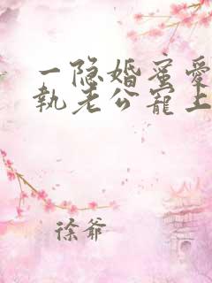 一隐婚蜜爱:偏执老公宠上瘾