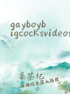 gayboybigcocksvideos