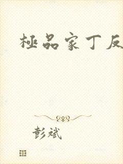 极品家丁反绿帽