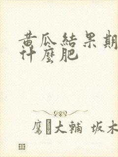 黄瓜结果期需施什么肥