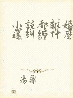 小说都离婚了你还纠缠什么封庭深在线阅读