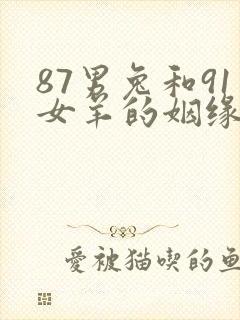 87男兔和91女羊的姻缘