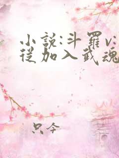 小说:斗罗v:从加入武魂殿开始